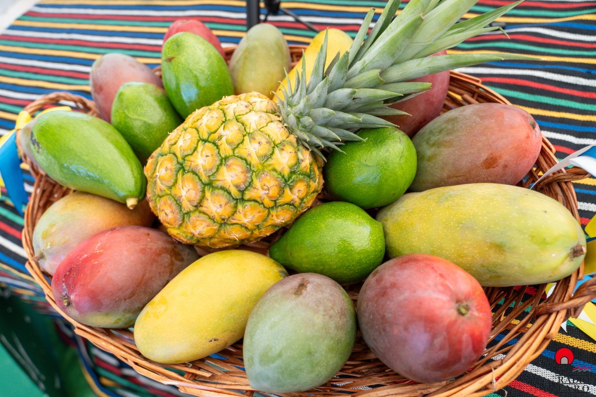 Feria del Mango y Aguacate de Mogán, edición anterior (2)