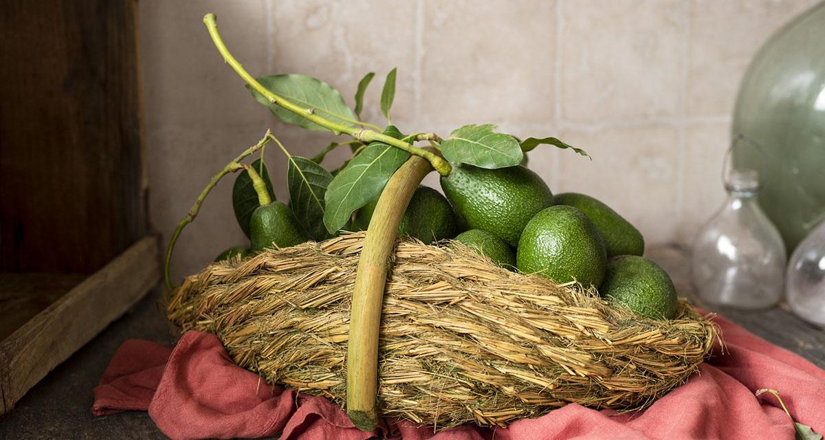 Feria del Mango y Aguacate de Mogán, edición anterior (7)