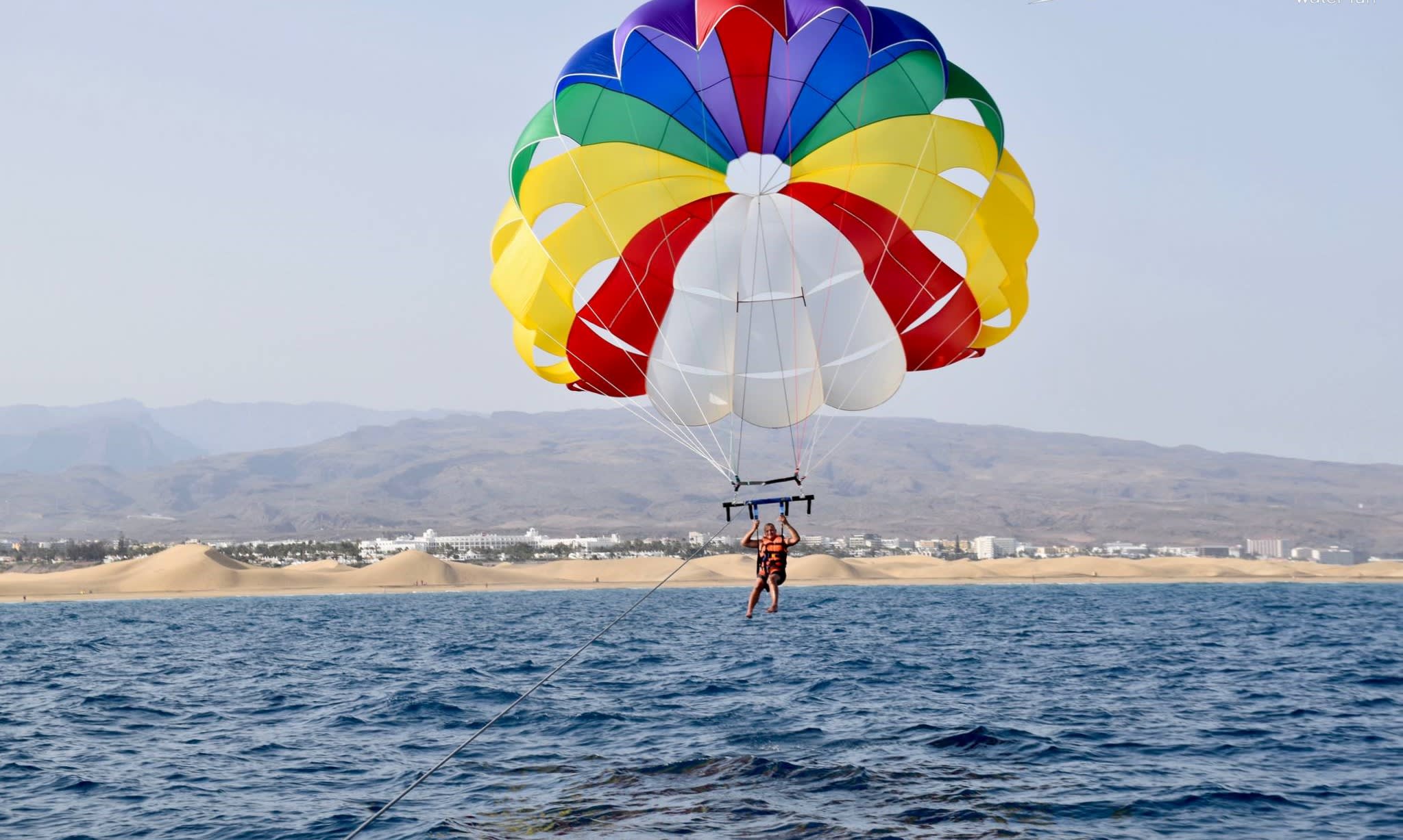 Dolphin watching tour from southern Gran Canaria