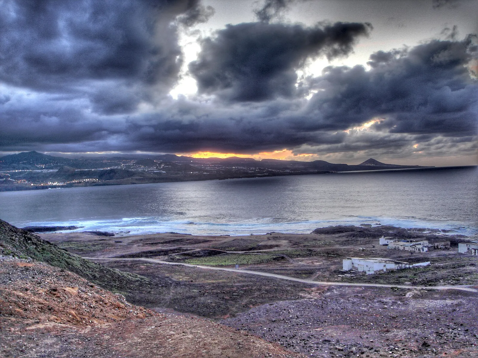 Dog-Friendly Beaches in Gran Canaria: Which Are Authorised and What the Rules Are