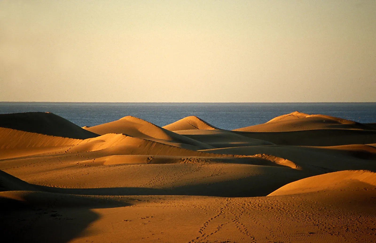 Las dunas de Maspalomas al atardecer