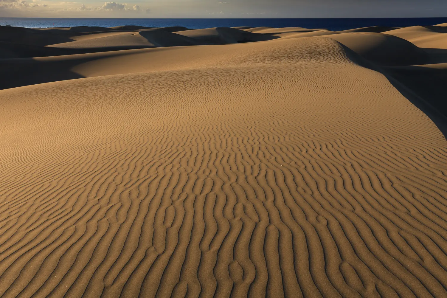 Las dunas de Maspalomas
