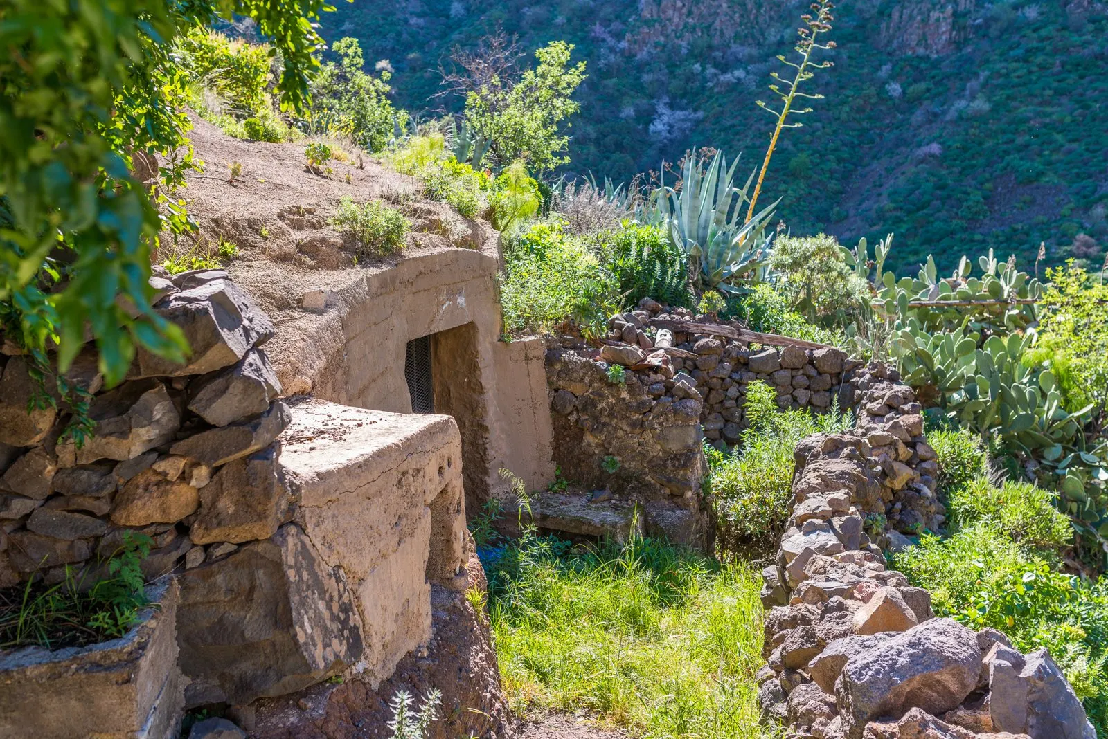 Traditionelles Höhlenhaus im Barranco de Guayadeque