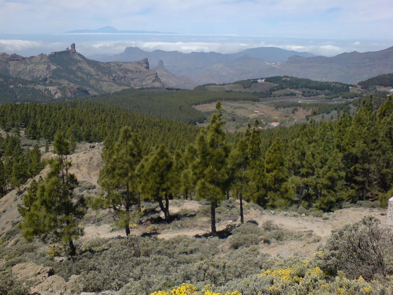 Camping in Gran Canaria: Authorised Zones, the Cabildo Permit and How to Apply