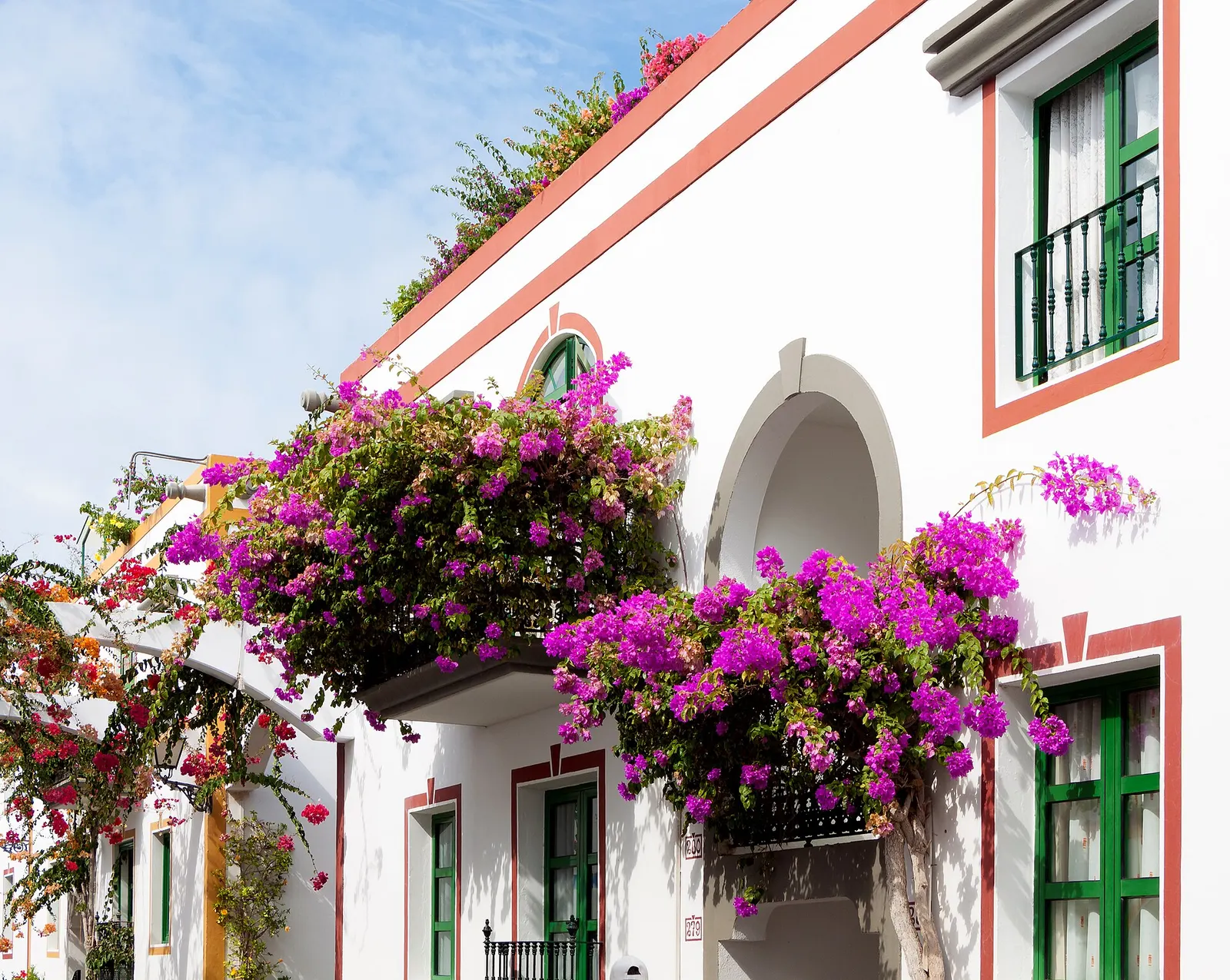 Whitewashed street in Puerto de Mogán