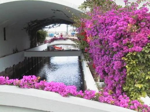 Puerto de Mogán: la guía completa de la Pequeña Venecia de Gran Canaria